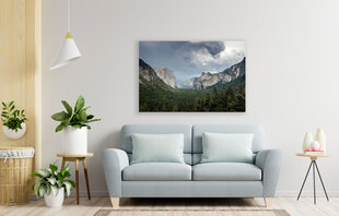 Reproduktsioon Yosemite rahvuspark, 30x40 cm цена и информация | Картины, живопись | kaup24.ee