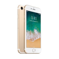 iPhone 7 256GB Gold (uuendatud, seisukord A) цена и информация | Мобильные телефоны | kaup24.ee