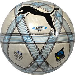 Puma Liga jalgpallipall, 5 hind ja info | Jalgpalli pallid | kaup24.ee