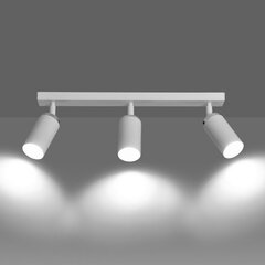Emibig светильник Hera 3 цена и информация | Потолочные светильники | kaup24.ee