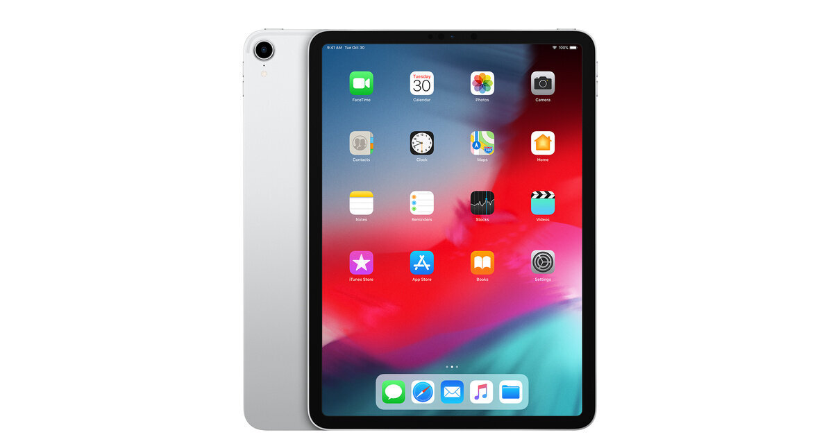 iPad Pro 11" 1.gen 256GB WiFi Silver (uuendatud, seisukord A) hind ja info | Tahvelarvutid | kaup24.ee