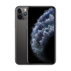 iPhone 11 Pro 256GB Space Gray (uuendatud, seisukord A) цена и информация | Мобильные телефоны | kaup24.ee