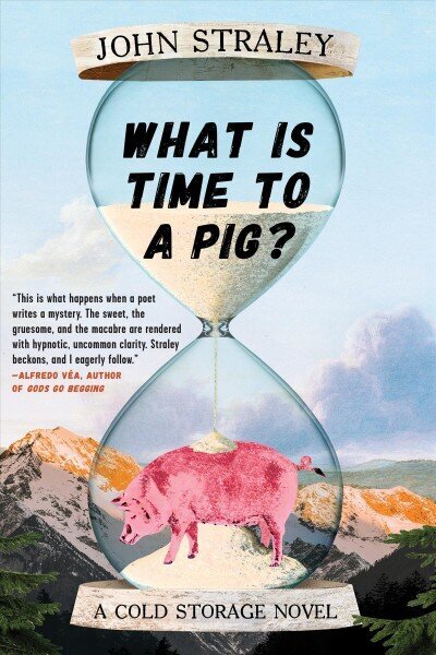 What Is Time To A Pig? hind ja info | Fantaasia, müstika | kaup24.ee