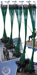 Landitross 25 cm roheline цена и информация | Другие товары для рыбалки | kaup24.ee