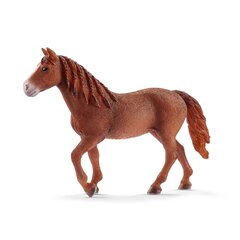 SCHLEICH FARM WORLD Morgani Hobune, Mära hind ja info | Poiste mänguasjad | kaup24.ee