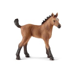 Фигурка Жеребенок породы кватерхорс, Schleich цена и информация | Развивающий мелкую моторику - кинетический песок KeyCraft NV215 (80 г) детям от 3+ лет, бежевый | kaup24.ee