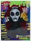Kummitus koos helidega Cobi Stretch Screamers hind ja info | Poiste mänguasjad | kaup24.ee