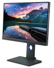 BenQ SW240 hind ja info | BenQ Monitorid ja monitori kinnitused | kaup24.ee