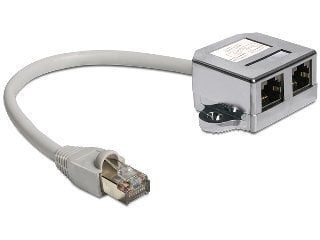 Delock kaabel RJ45 Port Doubler 1 x RJ45 plug > 2 x RJ45 jacks (2 x Ethernet) цена и информация | USB jagajad, adapterid | kaup24.ee