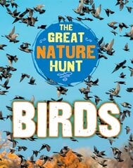 Great Nature Hunt: Birds Illustrated edition hind ja info | Noortekirjandus | kaup24.ee