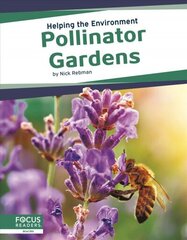 Helping the Environment: Pollinator Gardens hind ja info | Noortekirjandus | kaup24.ee
