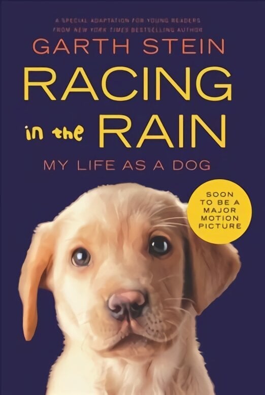 Racing in the Rain: My Life as a Dog цена и информация | Noortekirjandus | kaup24.ee