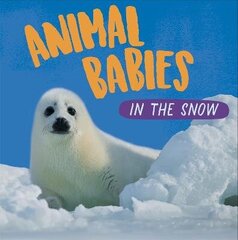 Animal Babies: In the Snow цена и информация | Книги для подростков и молодежи | kaup24.ee