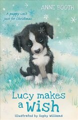 Lucy Makes a Wish hind ja info | Noortekirjandus | kaup24.ee