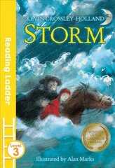 Storm 2nd edition hind ja info | Noortekirjandus | kaup24.ee