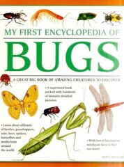 My First Encyclopedia of Bugs (giant Size): A First Encyclopedia with Supersize Pictures hind ja info | Noortekirjandus | kaup24.ee