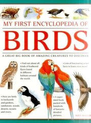 My First Encylopedia of Birds (giant Size): A First Encyclopedia with Supersize Pictures цена и информация | Книги для подростков и молодежи | kaup24.ee