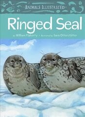 Animals Illustrated: Ringed Seal English Edition цена и информация | Книги для подростков и молодежи | kaup24.ee