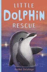 Little Dolphin Rescue цена и информация | Книги для подростков и молодежи | kaup24.ee