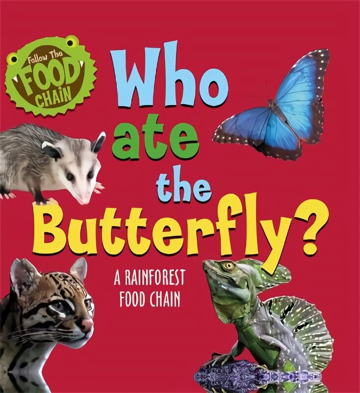 Follow the Food Chain: Who Ate the Butterfly?: A Rainforest Food Chain цена и информация | Noortekirjandus | kaup24.ee