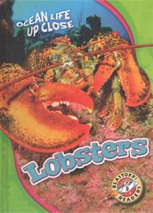 Lobsters цена и информация | Книги для подростков и молодежи | kaup24.ee
