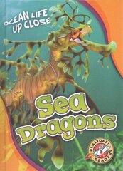 Sea Dragons hind ja info | Noortekirjandus | kaup24.ee
