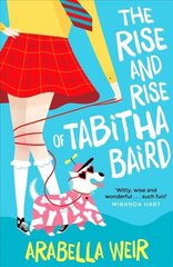 Rise and Rise of Tabitha Baird цена и информация | Книги для подростков и молодежи | kaup24.ee