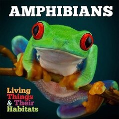 Amphibians цена и информация | Книги для подростков и молодежи | kaup24.ee