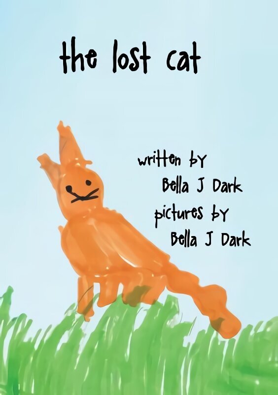 Lost Cat цена и информация | Väikelaste raamatud | kaup24.ee