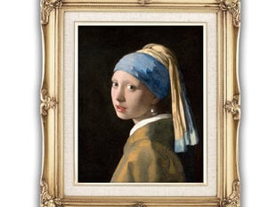 Reproduktsioon "Tüdruk pärlikõrvarõngaga" (Johannes Vermeer), 30x40 cm hind ja info | Seinapildid | kaup24.ee