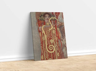 Reproduktsioon Hygieus (Gustav Klimt), 30x40 cm hind ja info | Seinapildid | kaup24.ee