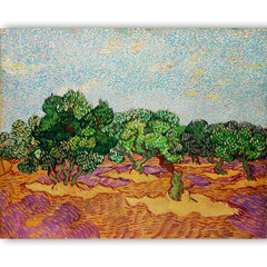 Reproduktsioon „Oliivipuud“ (Vincent Van Gogh), 30 x 40 cm цена и информация | Картины, живопись | kaup24.ee