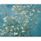 Reproduktsioon "Õitsevad mandlioksad" (Vincent van Gogh), 30 x 40 cm. hind ja info | Seinapildid | kaup24.ee