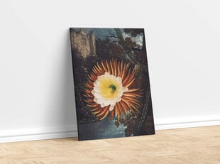 Плакат Ночной Цереус, 59х84 см (А1), цена и информация | Картины, живопись | kaup24.ee