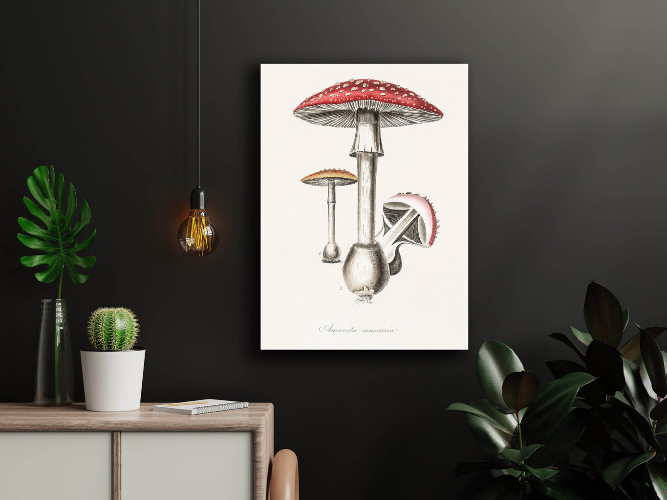 Plakat Amanita, 59x84 cm (A1) hind ja info | Seinapildid | kaup24.ee