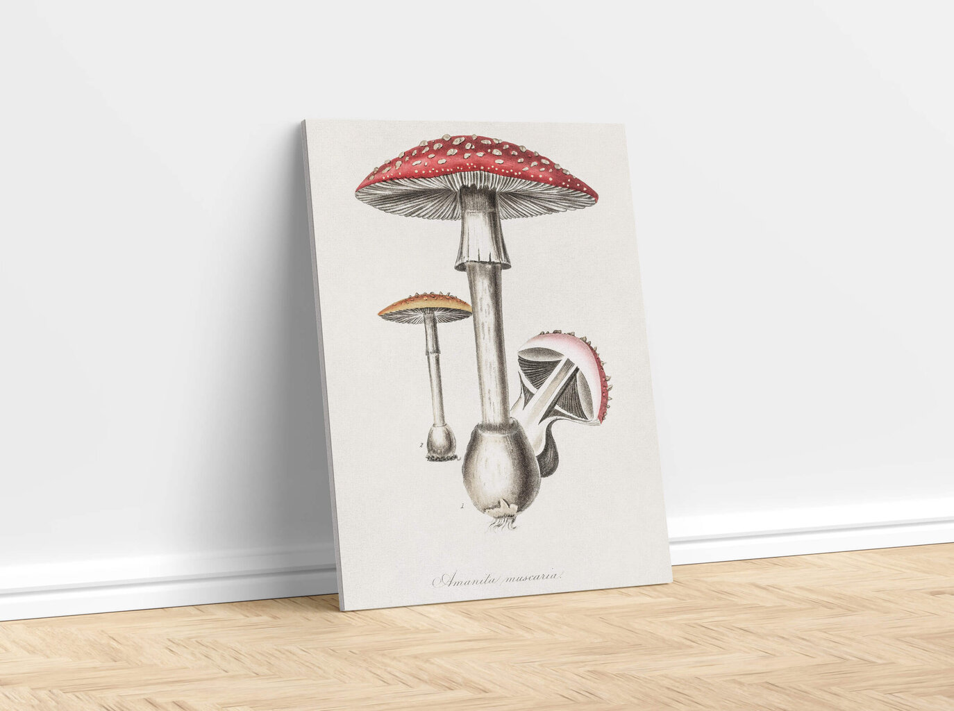 Plakat Amanita, 59x84 cm (A1) hind ja info | Seinapildid | kaup24.ee