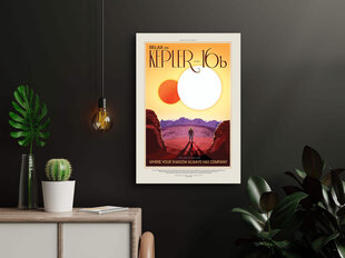 Плакат НАСА: Кеплер 16б, 42х59 см (А2), цена и информация | Настенные деревянные декорации | kaup24.ee