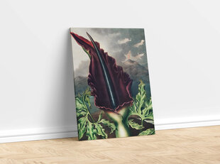 Плакат Дракон Арум, 42x59 см (А2), цена и информация | Настенные деревянные декорации | kaup24.ee