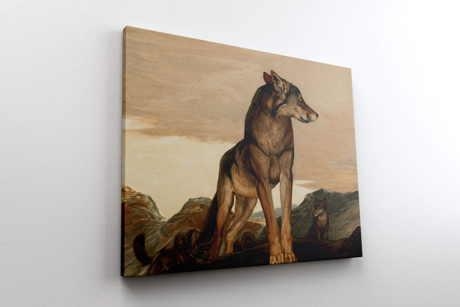 Akeli reproduktsioon - Lone Wolf (Maurice ja Edward Detmold), 80x65 cm hind ja info | Seinapildid | kaup24.ee