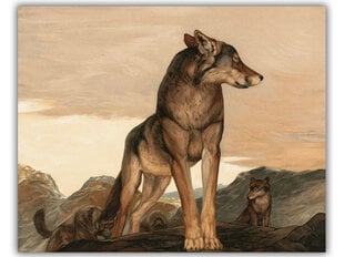 Akeli reproduktsioon - Lone Wolf (Maurice ja Edward Detmold), 60x50 cm hind ja info | Seinapildid | kaup24.ee