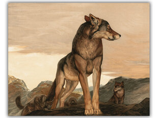 Akeli reproduktsioon - Lone Wolf (Maurice ja Edward Detmold), 40x35 cm цена и информация | Картины, живопись | kaup24.ee