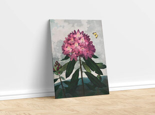 Reproduktsioon „Pontic Rhododendron“ (Robert John Thornton (1808)), 100x70 cm hind ja info | Seinapildid | kaup24.ee