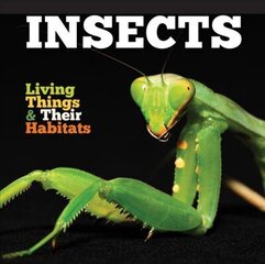 Insects None ed. hind ja info | Noortekirjandus | kaup24.ee
