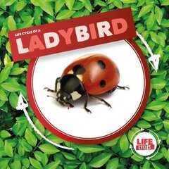 Ladybird hind ja info | Noortekirjandus | kaup24.ee