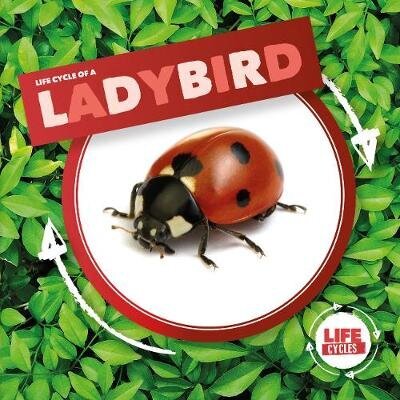 Ladybird hind ja info | Noortekirjandus | kaup24.ee