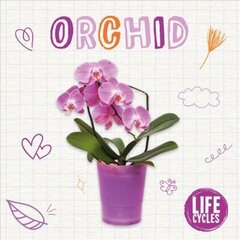 Orchid цена и информация | Книги для подростков и молодежи | kaup24.ee