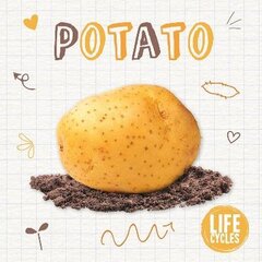 Potato цена и информация | Книги для подростков и молодежи | kaup24.ee