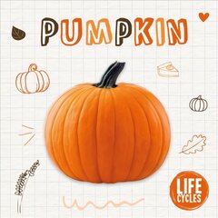 Pumpkin цена и информация | Книги для подростков и молодежи | kaup24.ee