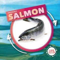 Life Cycle Of A Salmon hind ja info | Noortekirjandus | kaup24.ee