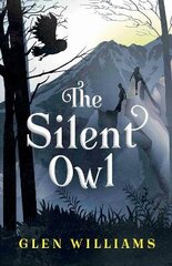 Silent Owl цена и информация | Книги для подростков и молодежи | kaup24.ee